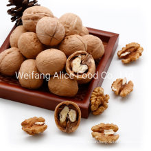 Wholesale Cheap Price From China The Healthest Nut Walnut in Shell